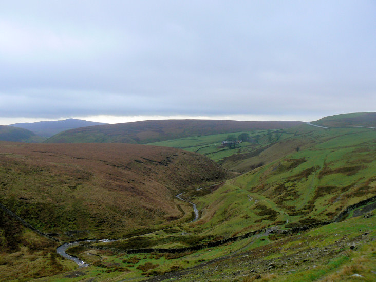 Cut Thorn Hill Cut Thorn Hill